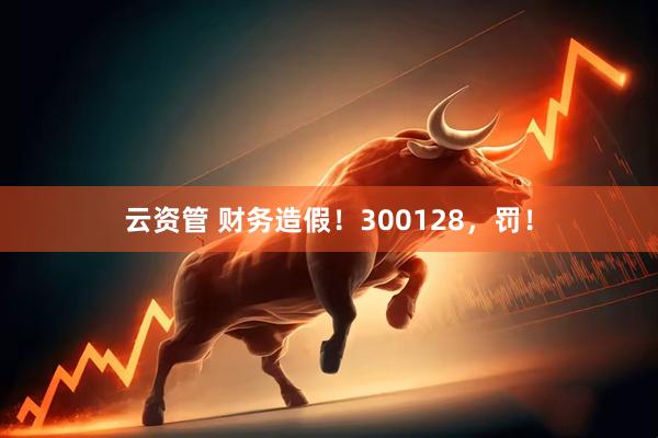 云资管 财务造假！300128，罚！
