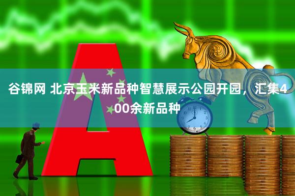 谷锦网 北京玉米新品种智慧展示公园开园，汇集400余新品种