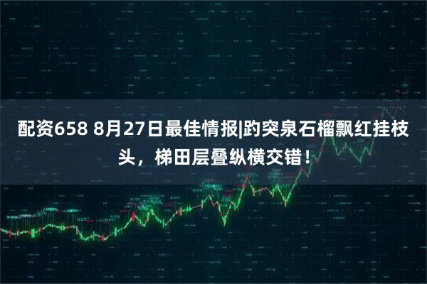 配资658 8月27日最佳情报|趵突泉石榴飘红挂枝头，梯田层叠纵横交错！