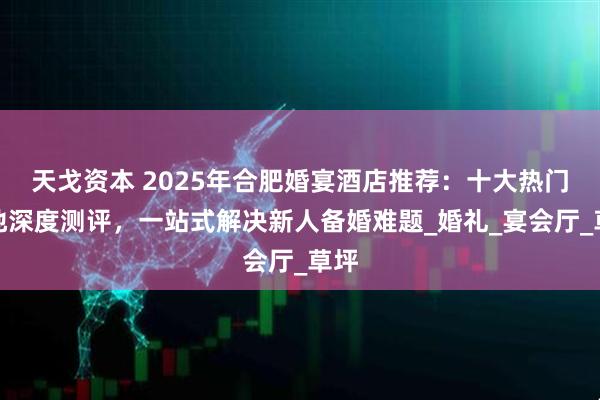 天戈资本 2025年合肥婚宴酒店推荐：十大热门场地深度测评，一站式解决新人备婚难题_婚礼_宴会厅_草坪